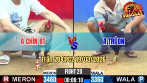 Tran 20 CPC2 19032026 Cu Da Que Dat Xe Di Cam Nhanh Le