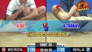 Trận 20 CPC2 23/03/2026 - Đỏ Châm Nhưng Đá Là Đâm Về Bờ Sau 1 Tay Nước