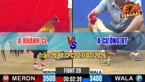 Trận 20 CPC2 27/03/2026 - Điều Chú Phúc Buông Đui Bướm Anh kiểm Đá Đúng 1 Chân Té