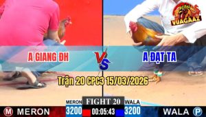 Trận 20 CPC3 15/03/2026 - Xanh Đâm Quá Tịch Đỏ La Miệng Sau 1 Tay Nước