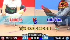 Trận 20 CPC3 22/03/2026 - Úa Đá Điều Ói Tưởng Phản Ăn 3 Xong Bỏ Chạy Đáng Tiếc