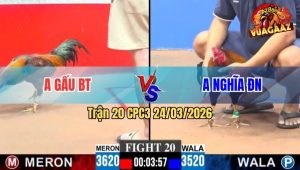 Trận 20 CPC3 24/03/2026 - Xanh Bươi Trây 1 Tăng Buông Ra Đỏ Gãy Giò Hết Phản