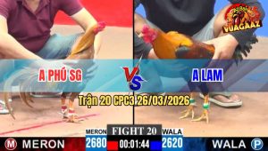 Trận 20 CPC3 26/03/2026 - Gà Khét Mau Lẹ Đá Dàn Lơ Khủng Hoảng Hạ Điều Tuyệt Đối