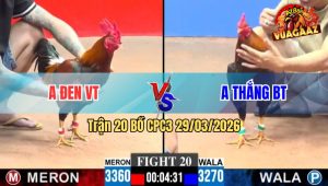 Trận 20 CPC3 29/03/2026 - Xanh Đá Chân Nghiệt Tới Phút Cuối Hạ Đỏ