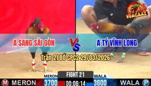 Trận 21 Bồ CPC2 29/3/2026 - Đỏ Đá Mấy Chận Bị Xanh Siết Cứng Mình Xỉu Tuyệt Đối