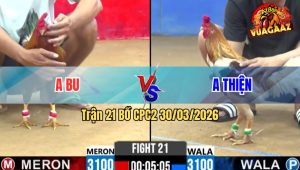 Trận 21 Bồ CPC2 30/3/2026 - Điều Nạp Siết Camelo Đứng Chặn Cây Đâm Điều Té