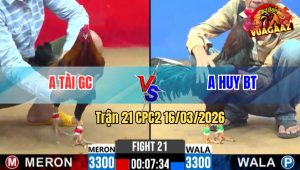 Trận 21 CPC2 16/03/2026 - Que Bay Lên Điều Đá Cây Que Rơi Tự Do