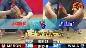 Tran 21 CPC2 19032026 Dieu Da Cu Chu 9 May Chan Dua Anh Em Di Linh