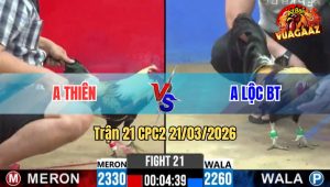 Tran 21 CPC2 21032026 Chuoi Nhap Buong Ra Siet May Chan Dam Do Hu Hinh Tuyet Doi 1