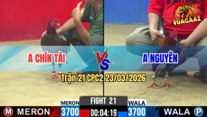 Trận 21 CPC2 23/03/2026 - Xanh Gồng Phút Cuối Đá Chân Quyết Định Về Bờ