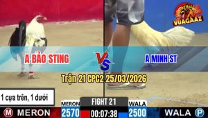 Trận 21 CPC2 25/03/2026 - Kiểm Cà Mau Cắn Cưa Với Minh Lý Sóc Trăng Tới Phút 90