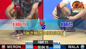 Trận 21 CPC2 27/03/2026 - Xanh Buông Đui lướt 3 Chân Đâm Đỏ Lật Xe