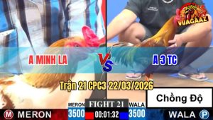 Trận 21 CPC3 22/03/2026 - Úa Má Minh Phục Thù Thành Công Anh 3 Trà Cú