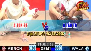Trận 21 CPC3 26/03/2026 - Gà Bông Nạp Đúng 1 Chân Bưng Gà Úa Ra Sân Lập Tức