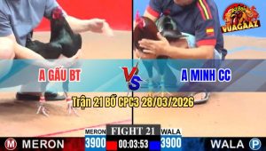 Trận 21 CPC3 28/03/2026 - Gà Ô Bươi Trây Quá Giỏi Điều Ói Trong Vài Chân