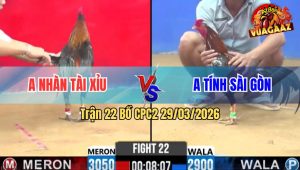 Trận 22 Bồ CPC2 29/3/2026 - 2 Con Đều Trầu Gồng Phút Cuối Bỏ Mặt