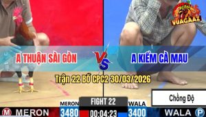 Trận 22 Bồ CPC2 30/3/2026 - Tài Nghệ Anh Kiểm Phản Trận Gà Ăn 1 Qúa Hay