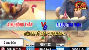 Trận 22 Bồ CPC2 31/3/2026 - Xám Đá Như Súng Bắn Đâm Bướm Hư Hết Hình Rinh Ra