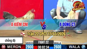 Trận 22 CPC2 17/03/2026 - Bướm Bươi Chà Đá Lọt Cây Cú Bỏ Chạy Bay Bồ