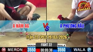 Tran 22 CPC2 19032026 Do Chua Tha Da An 5 Buong Ra Xanh Da May Chan Sum