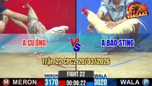 Trận 22 CPC2 20/03/2026 - Cú Đá Còn Ăn 1 Buông Ra Bướm Đá Phản Lại 1 Chân Té