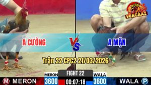 Tran 22 CPC2 21032026 Cu Keu Nhung Dieu Khong Nga Cu Oi Rinh Ra 1