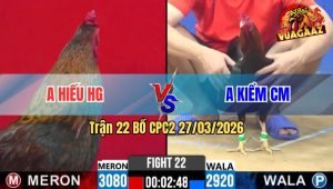 Trận 22 CPC2 27/03/2026 - Đỏ Đè Bạc Buông Ra Xanh Đá Cây Lọt Xỉu Tuyệt Đối