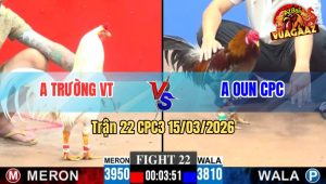 Trận 22 CPC3 15/03/2026 - Xám Đá Như Cây Đập 1 Tay Nước Đâm Bướm Chết Trên Tay