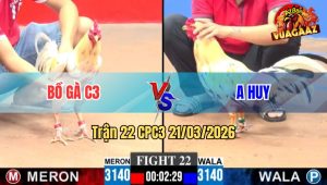 Tran 22 CPC3 21032026 Ga Xanh Ra Chan Mau Le Ha Do Quyet Doan 1