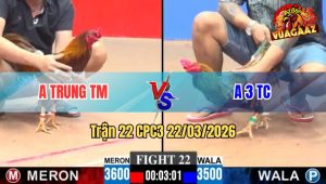Trận 22 CPC3 22/03/2026 - Cú Cọp Gặp Khét Cọp Đá Ăn 2 Còn Bị Phản