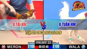 Trận 22 CPC3 26/03/2026 - Đỏ Đá Chân khéo Léo Khó Lường Xanh Không Có Cửa Ra