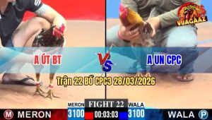 Trận 22 CPC3 28/03/2026 - Gà Đỏ Đâm Quá Đâm Xanh Xòe Đuôi Hết Binh
