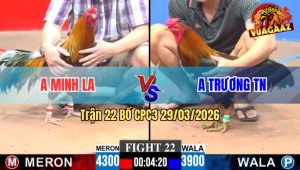 Trận 22 CPC3 29/03/2026 - Xanh Chấp 4 Chấm Đá Đỏ Hư Hình