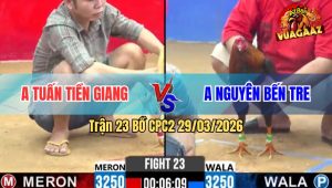 Trận 23 Bồ CPC2 29/3/2026 - Bướm Có Chân Nghiệt Dứt Điểm Điều Đẹp Mắt