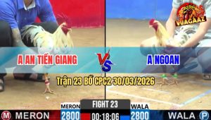 Trận 23 Bồ CPC2 30/3/2026 - Xanh Bươi Chà Tốc Độ Hạ Đỏ Đúng 1 Tay Nước