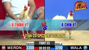 Tran 23 CPC2 19032026 Do Da An 6 Buong Ra Nhap May Chan Xanh Da Gay Do