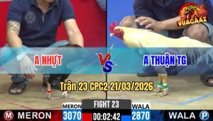 Tran 23 CPC2 21032026 Ua o Chan Tien Da Que Dat Xe Di Cam 1