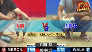Trận 23 CPC2 23/03/2026 - Cú Đá Cây Úa Cứng Hết Mình Muốn Xỉu