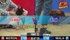 Trận 23 CPC2 25/03/2026 - Khét Cọp Đâm Trúng Điểm Điều Chết Từ Trong Ra Ngoài