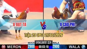 Tran 23 CPC3 21032026 Ga Khet Cao Phi Da Siet May Chan Qua Kheo Dieu Lat Xe Trong Tay Nuoc Dau 1