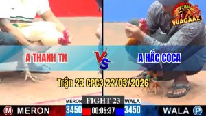 Trận 23 CPC3 22/03/2026 - Điều Đá Chân Nào Cũng Đâm Hạ Đối Thủ Nhanh Gọn Lẹ