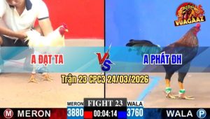 Trận 23 CPC3 24/03/2026 - Gà Đỏ Dở Giò Là Đâm Xanh Lật Xe Chỉ Vài Tay Nước