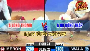 Trận 24 Bồ CPC2 29/3/2026 - Khét Đuôi Lao Bươi Chà 1 Tay Nước Rinh Bướm Ra Sân