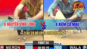 Trận 24 Bồ CPC2 31/3/2026 - Bướm Anh Kiểm Nạp Siết Tốc Độ Đâm Điều Như Cái Rổ Rinh Ra