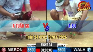 Tran 24 CPC2 19032026 Dieu Duoi Lao Da Buom Te Du Bi Gay Do Van Thang