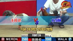 Tran 24 CPC2 21032026 Chuoi Co Cay Lung Qua Nang Dam Dieu Xiu Het Sua 1