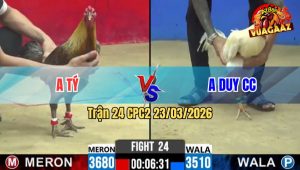 Trận 24 CPC2 23/03/2026 - Úa Chưa Thả Đá Ăn 6 Buông Ra Xám Đá Gãy Cánh Bung Bồ
