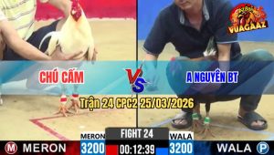 Trận 24 CPC2 25/03/2026 - Đỏ Chú Cấm Đá Chân Nghiệt Tới Phút 90 Hạ Xanh Về Sau