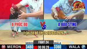Trận 24 CPC2 27/03/2026 - Điều Cup Idol Đá Đâm Như Giang Hồ Siết Mấy Chân Tiễn Bông Chú Phúc Lên Đường