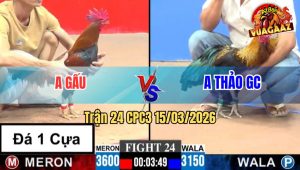 Trận 24 CPC3 15/03/2026 - Chuối Đá Điều Nát Hết Người Rinh Ra Nhanh Gọn Lẹ